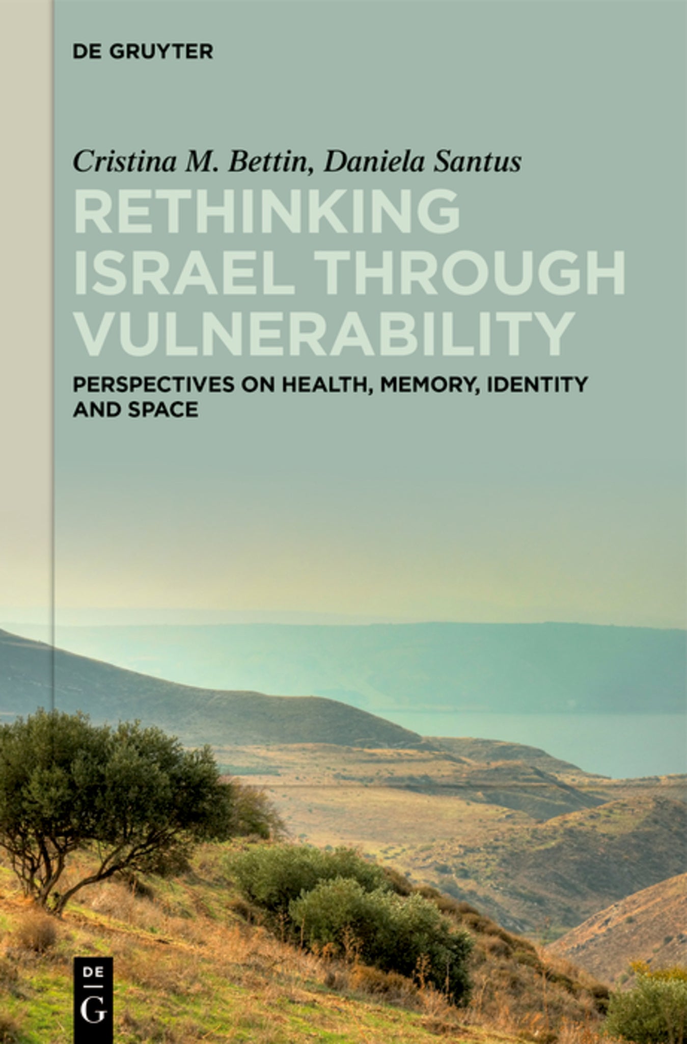 Cover image for Rethinking Israel through Vulnerability ISBN